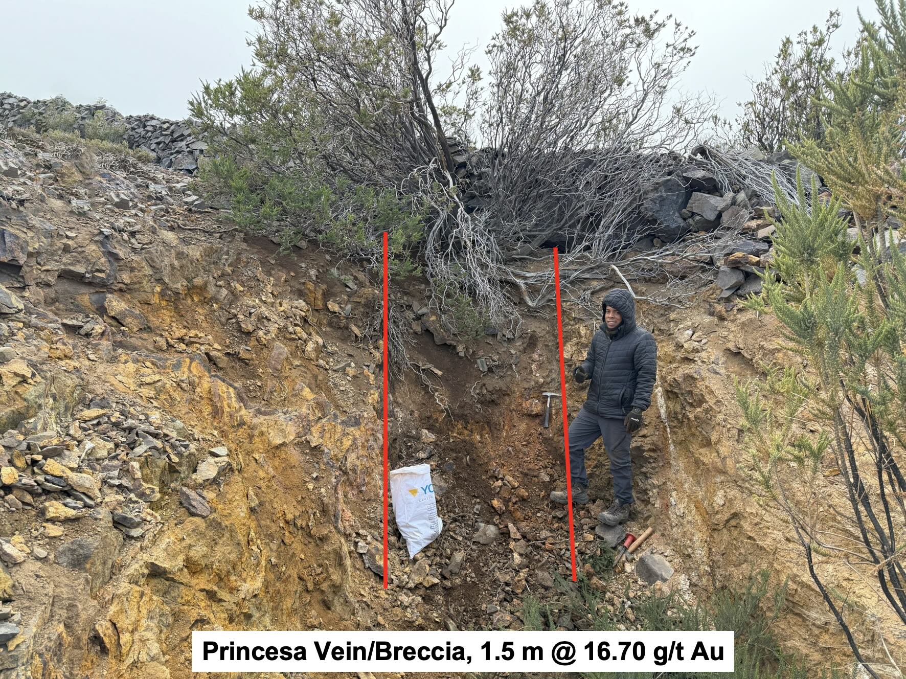 Princesa Lara site, Chile